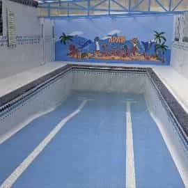 1717838951689.webp